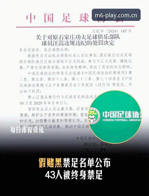 中国足协第三批禁足名单解读：足球行业整顿行动完整指南